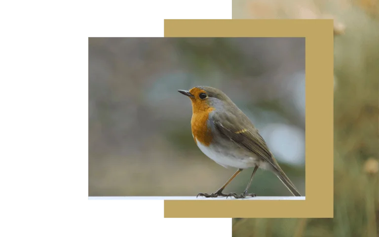 physische symptome, Persönlichkeitsentwicklung-Psychologie-Muenchen-Augsburg, ganzheitliches Heilen, Meditieren lernen, Bewusstseinserweiterung, Lindau, Kaufbeuren