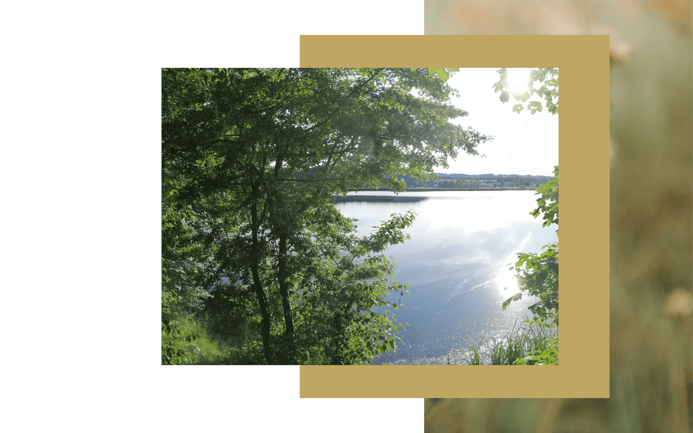 Psychotherapie Augsburg, physische symptome, Persönlichkeitsentwicklung-Psychologie-Muenchen-Augsburg, ganzheitliches Heilen, Meditieren lernen, Bewusstseinserweiterung, Lindau, Kaufbeuren