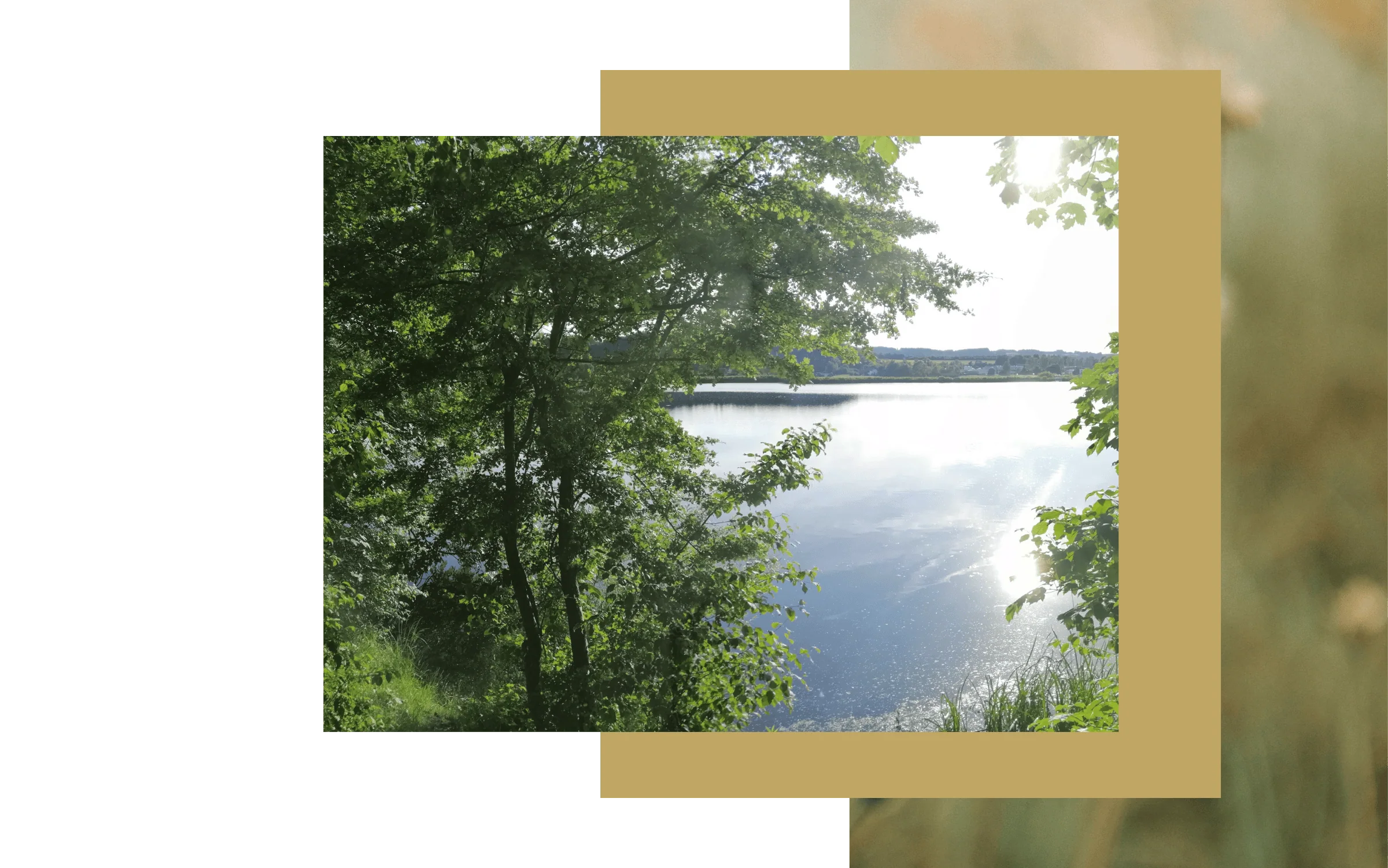 Psychotherapie Augsburg, physische symptome, Persönlichkeitsentwicklung-Psychologie-Muenchen-Augsburg, ganzheitliches Heilen, Meditieren lernen, Bewusstseinserweiterung, Lindau, Kaufbeuren
