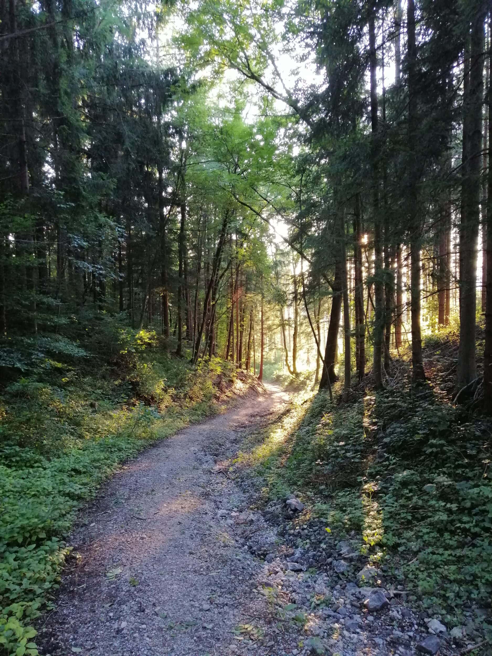 Psychotherapie Kaufbeuren, physische symptome, Persönlichkeitsentwicklung-Psychologie-Muenchen-Augsburg, ganzheitliches Heilen, Meditieren lernen, Bewusstseinserweiterung, Lindau, Kaufbeuren