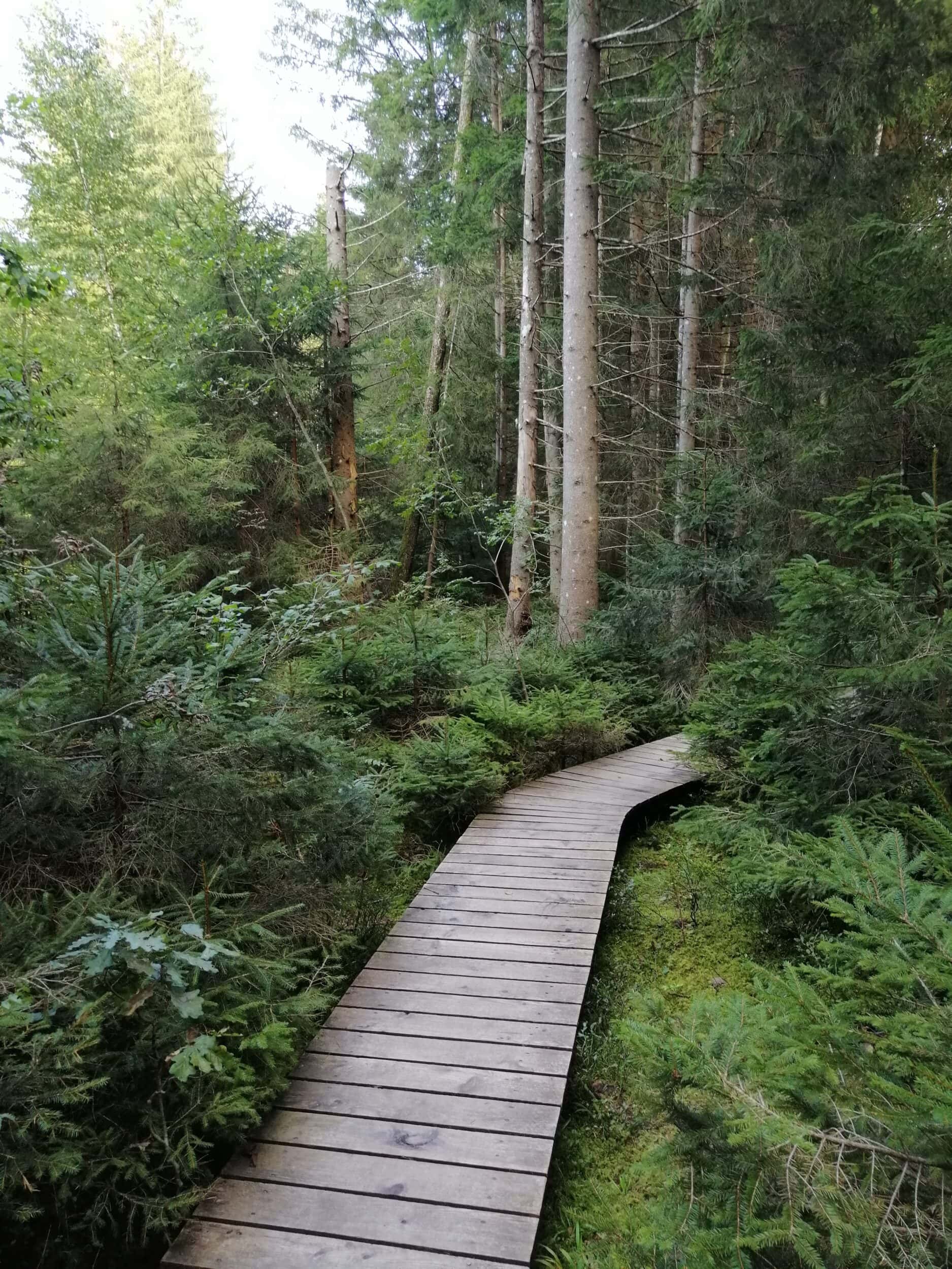 Psychotherapie Augsburg, physische symptome, Persönlichkeitsentwicklung-Psychologie-Muenchen-Augsburg, ganzheitliches Heilen, Meditieren lernen, Bewusstseinserweiterung, Lindau, Kaufbeuren