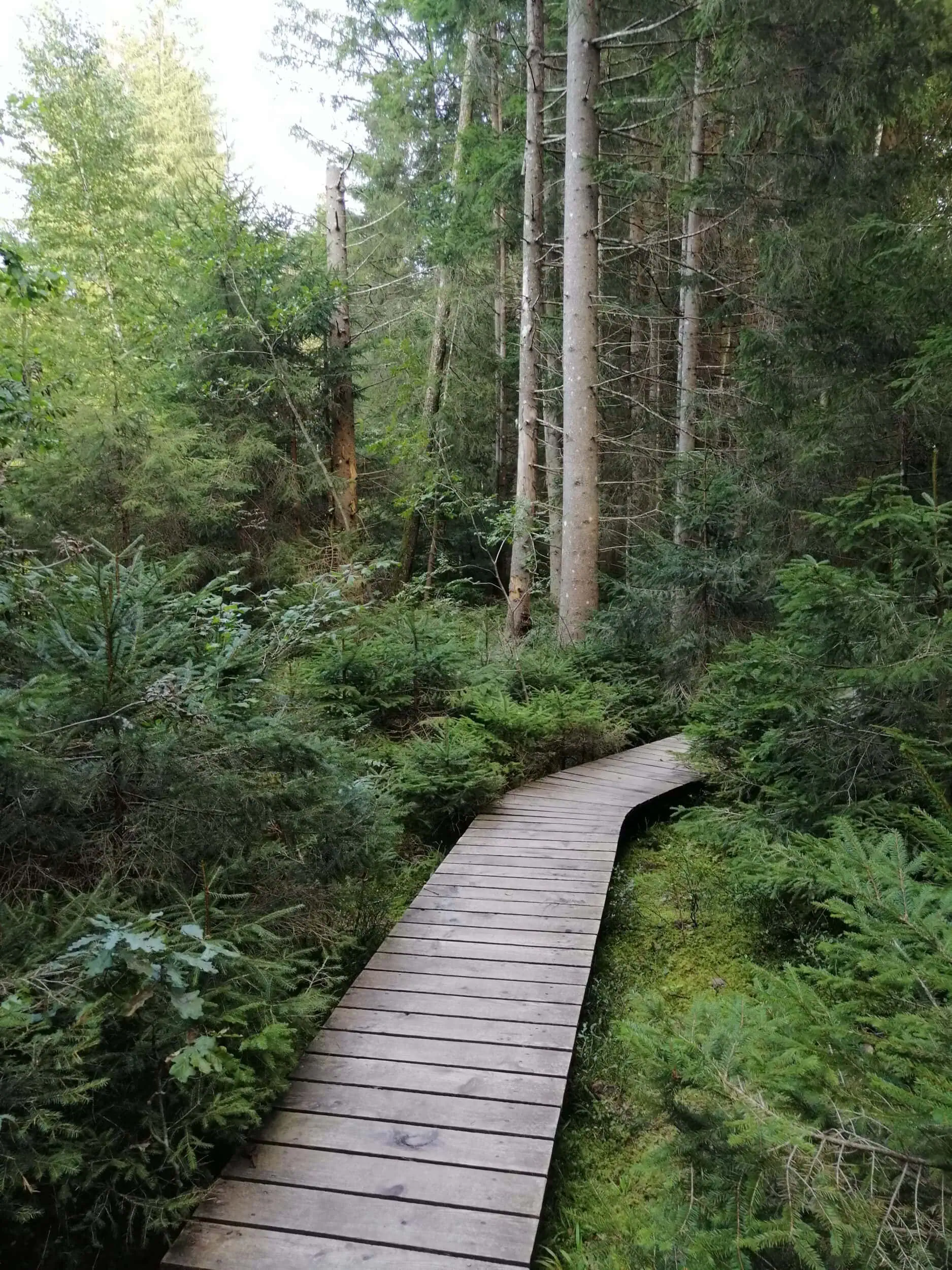 Psychotherapie Augsburg, physische symptome, Persönlichkeitsentwicklung-Psychologie-Muenchen-Augsburg, ganzheitliches Heilen, Meditieren lernen, Bewusstseinserweiterung, Lindau, Kaufbeuren